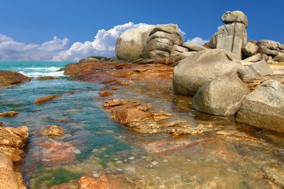 Foto do Monumento Natural dos Costões Rochosos