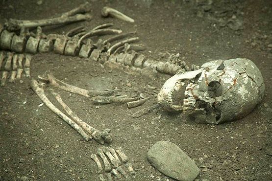 Foto do Museu de Sítio Arqueológico Sambaqui da Tarioba