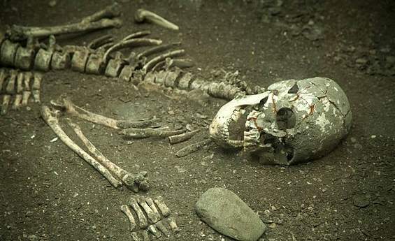 Foto do Museu de Sítio Arqueológico Sambaqui da Tarioba