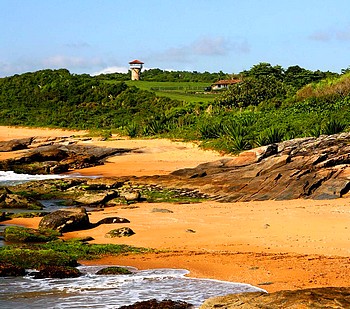 Descrição da foto