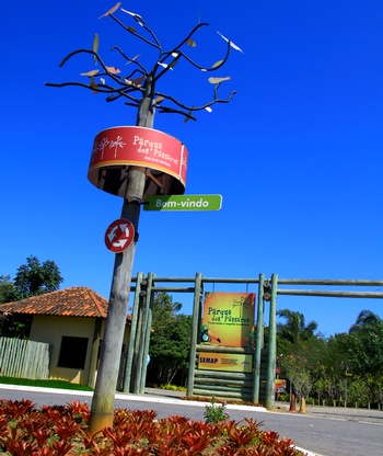 Descrição da foto