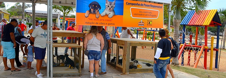 Descrição da foto