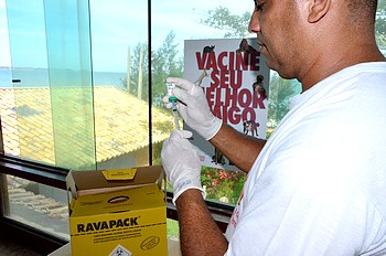 Descrição da foto