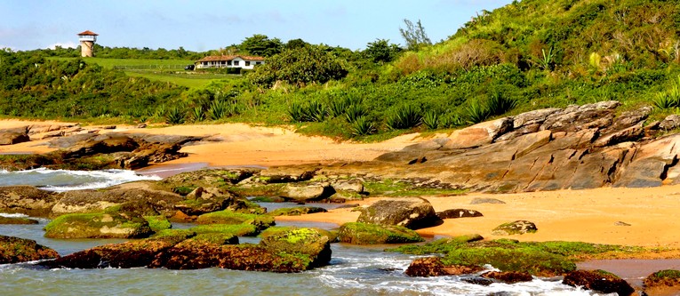 Descrição da foto
