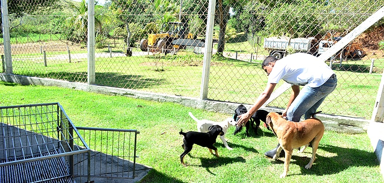 Descrição da foto