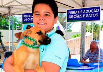 Descrição da foto