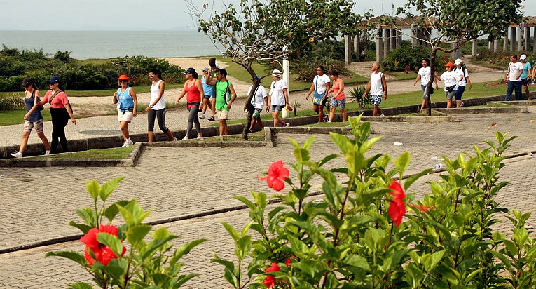 Descrição da foto