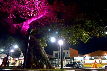 Descrição da foto