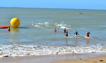Descrição da foto