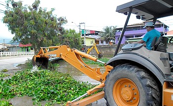 Descrição da foto