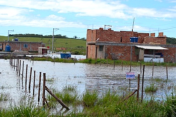 Descrição da foto