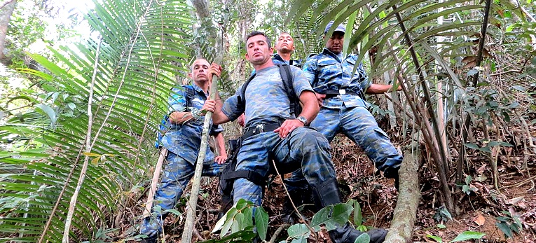 Descrição da foto