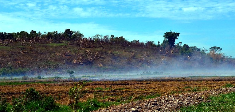 Descrição da foto