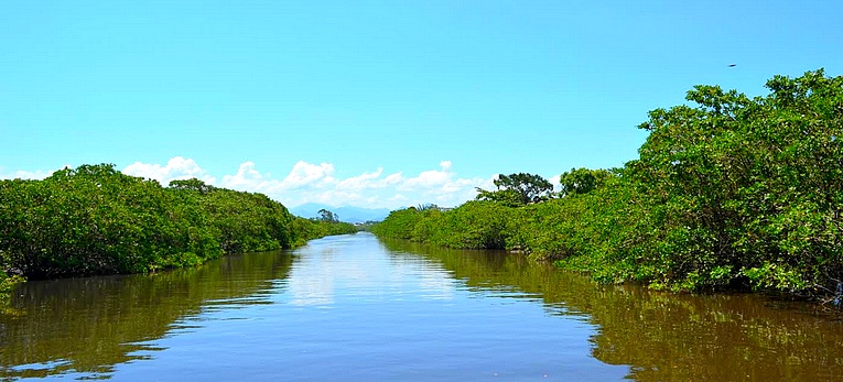 Descrição da foto