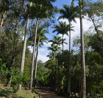 Descrição da foto
