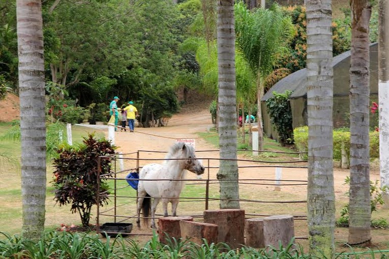 Descrição da foto