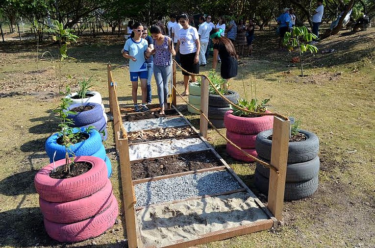 Descrição da foto