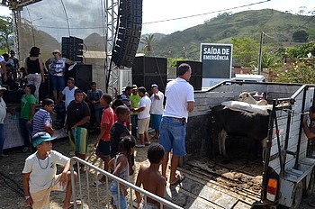 Descrição da foto