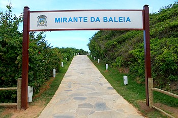 Descrição da foto