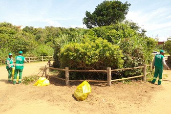 Descrição da foto