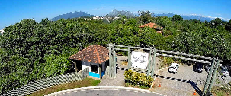 Descrição da foto