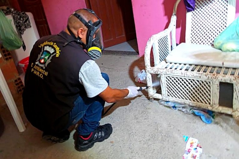 Descrição da foto