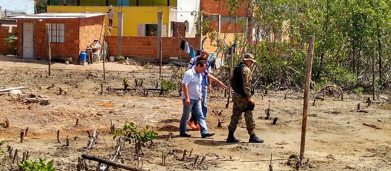 Descrição da foto