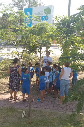 Descrição da foto