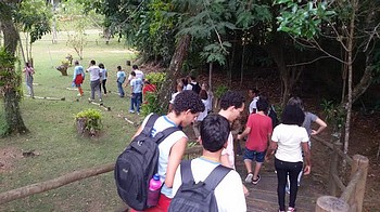 Descrição da foto