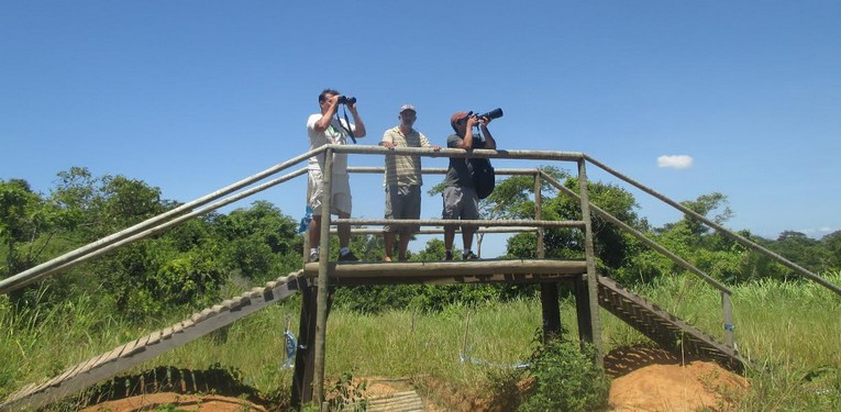 Descrição da foto
