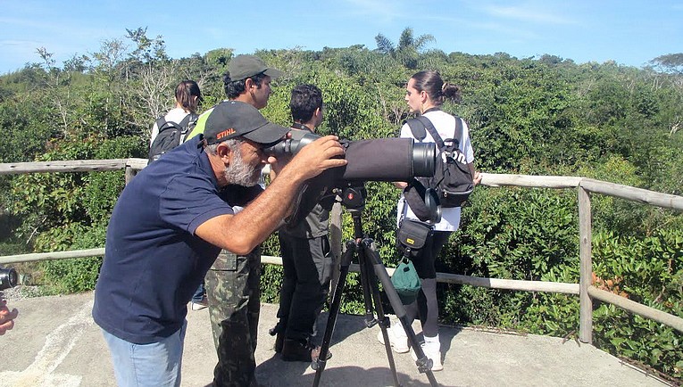 Descrição da foto