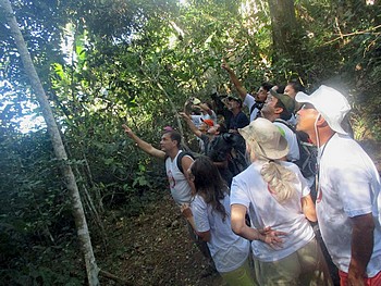 Descrição da foto
