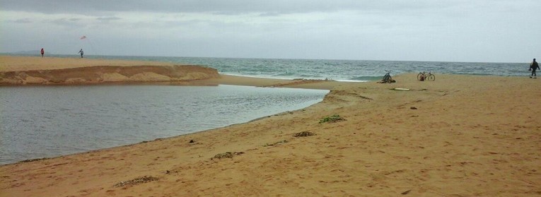 Descrição da foto