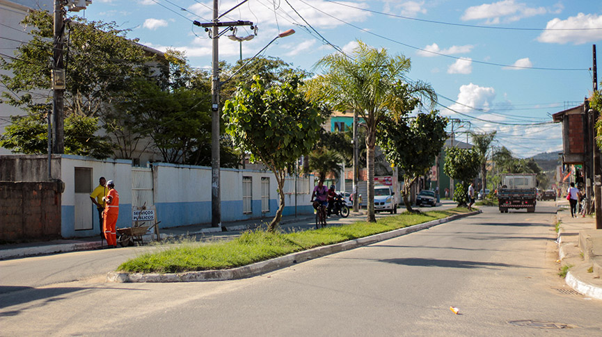 Foto do canteiro da rua das Camélias