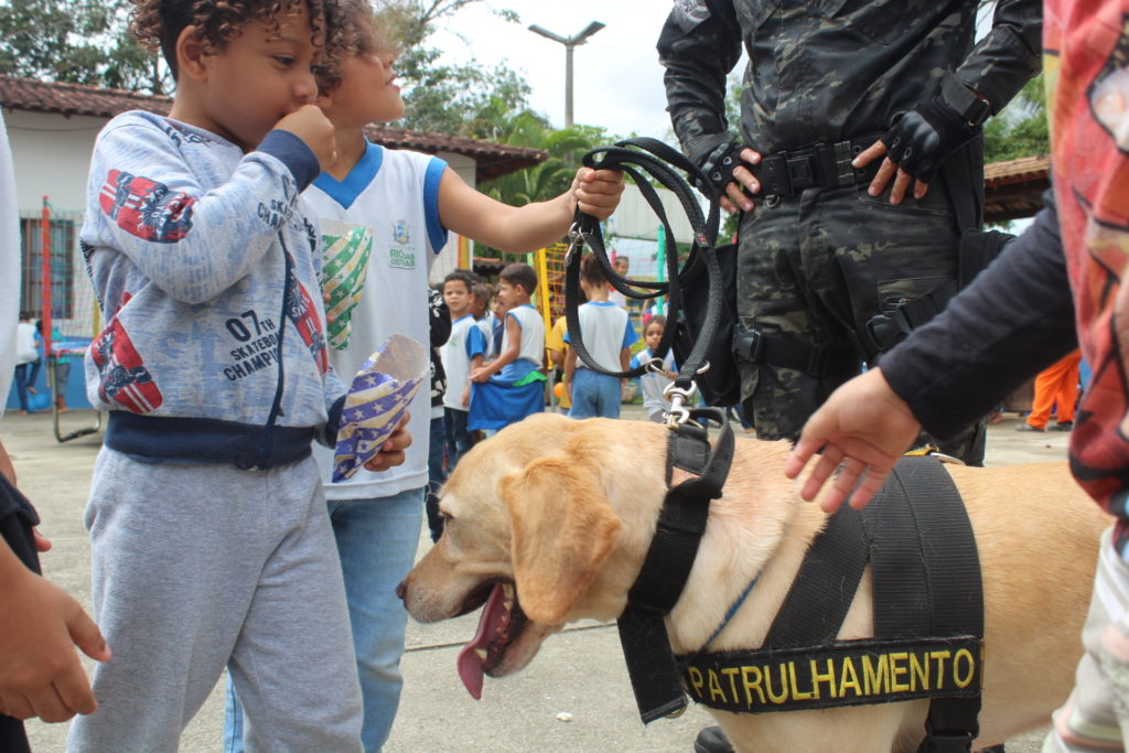 Descrição da foto