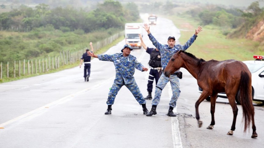 Descrição da foto