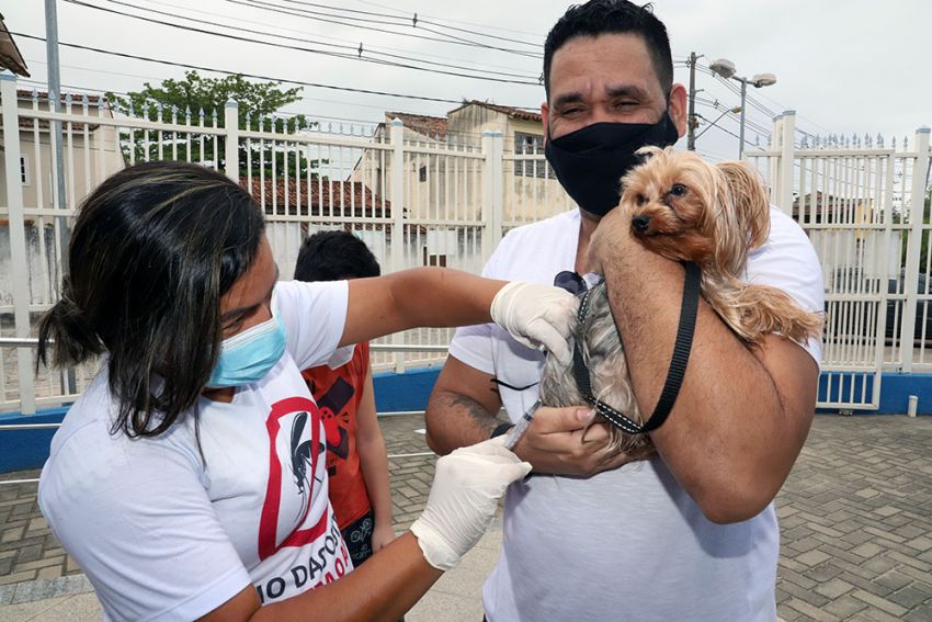 Descrição da foto