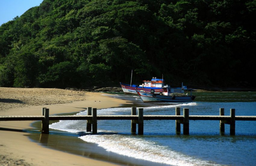 Descrição da foto