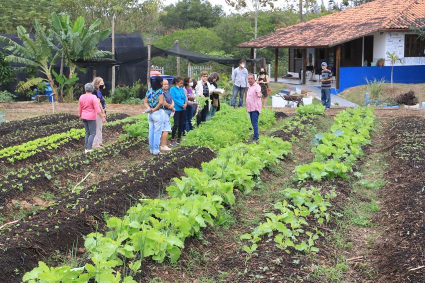 Descrição da foto
