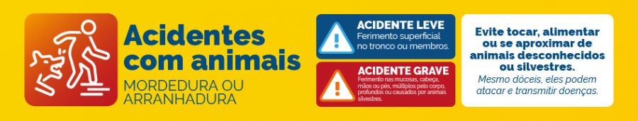 ACIDENTES COM ANIMAIS