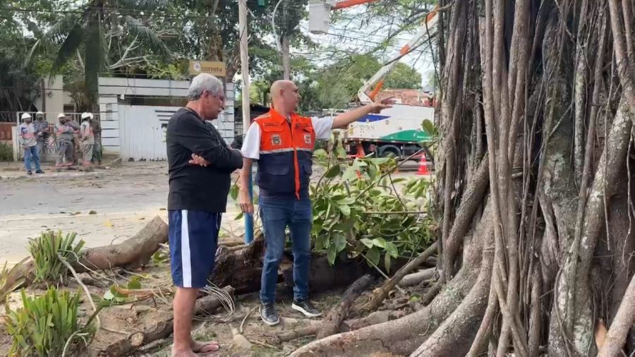Descrição da foto