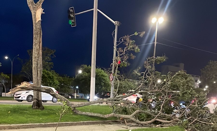 Descrição da foto