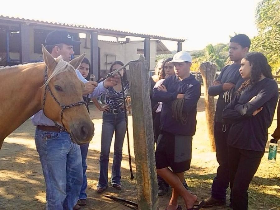Descrição da foto