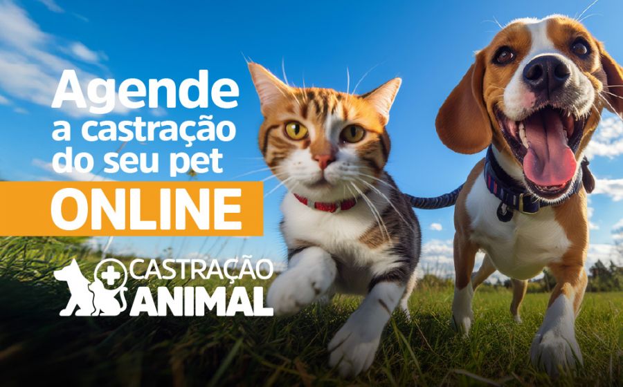 Descrição da foto