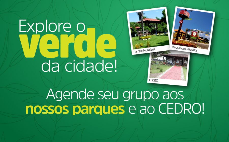 Descrição da foto