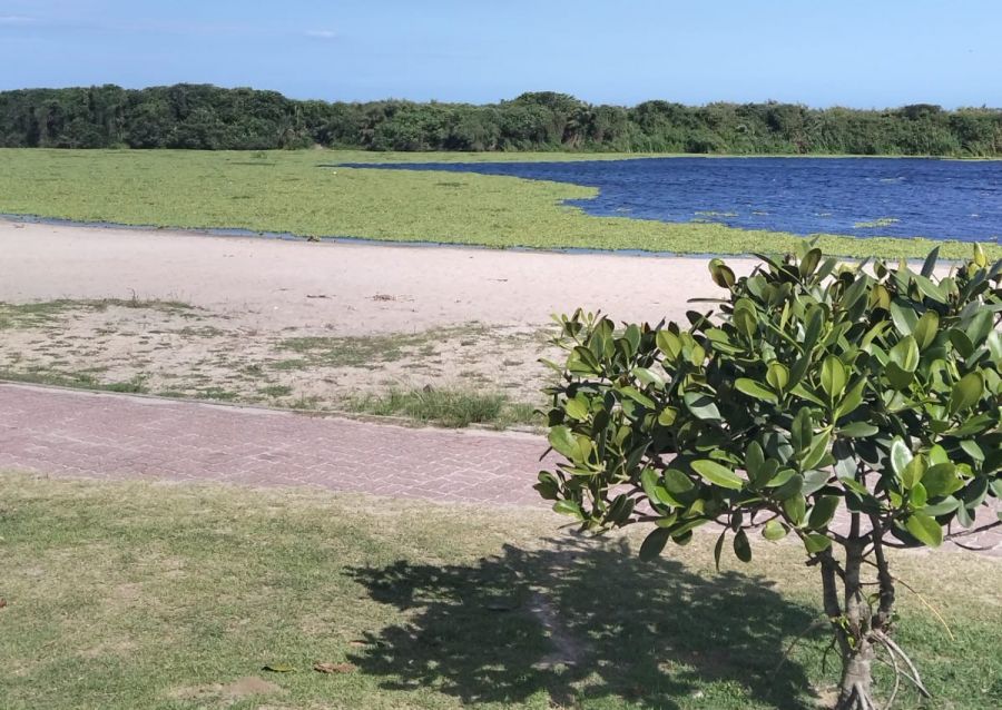 Prefeitura impede abertura irregular da Lagoa de Iriry em Rio das Ostras