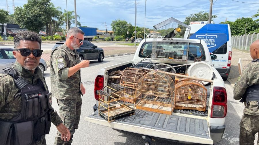 Guarda Ambiental de Rio das Ostras apreende aves silvestres