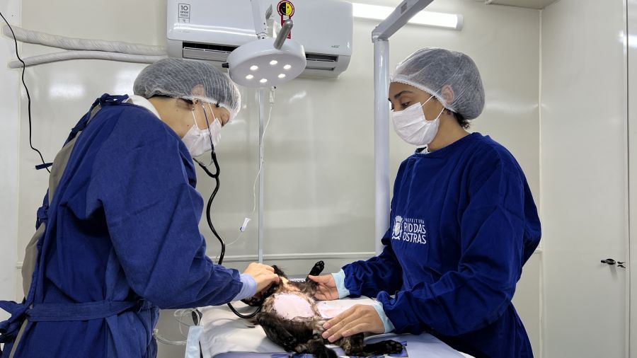 Bem-Estar Animal sobre Rodas inicia atendimentos itinerantes Bem-Estar Animal sobre Rodas inicia atendimentos itinerantes