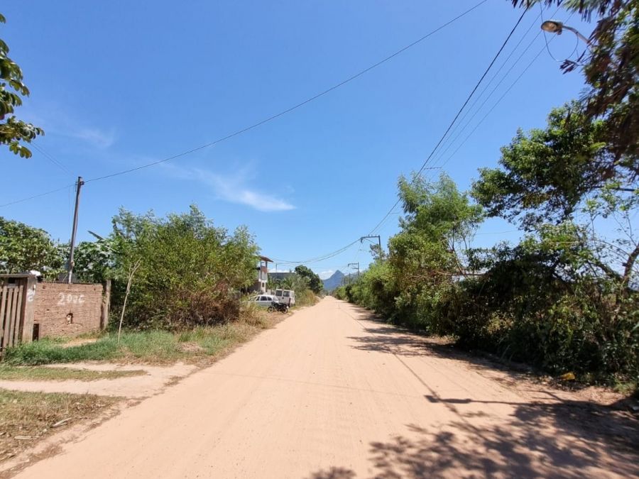 Descrição da foto
