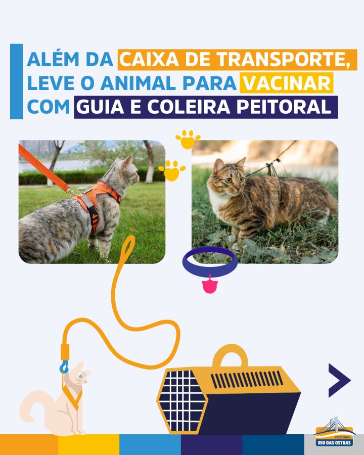 Campanha de Vacinação Antirrábica